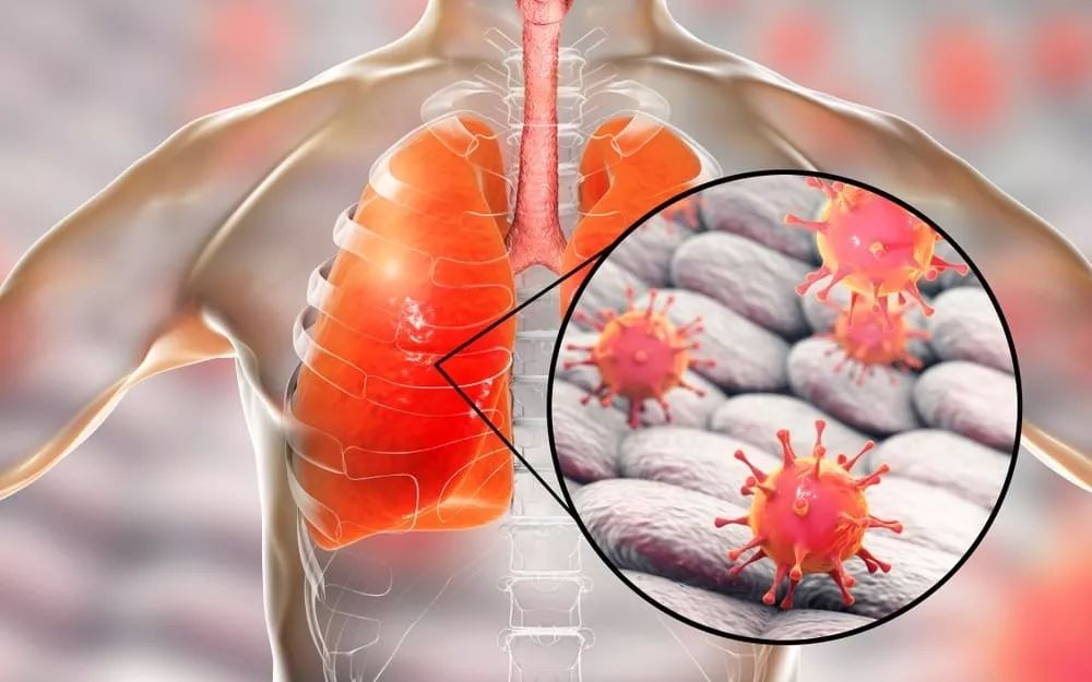 LOL投注-意大利杯赛程吃紧，布莱顿转会期复出首秀，震撼外界，医务组通报恢复的简单介绍